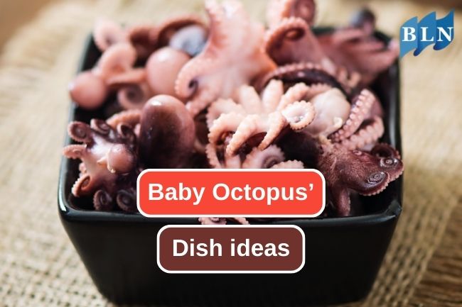 Exploring 5 Best Dishes Featuring Baby Octopus